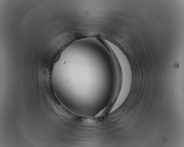 X0000090600380200707311206