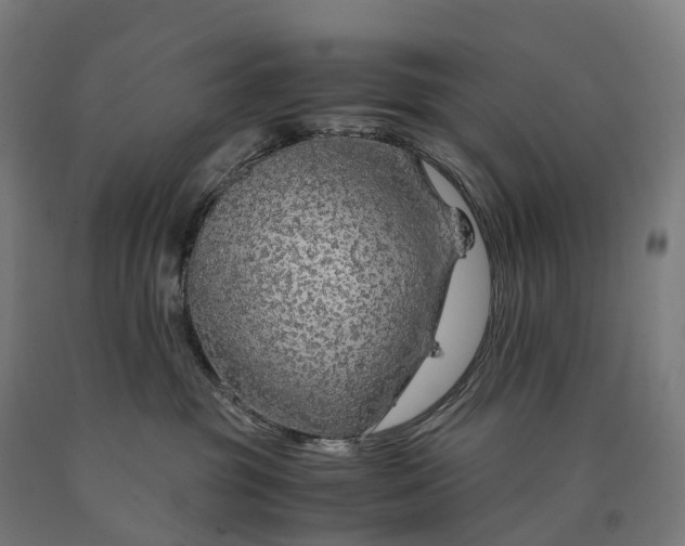 X0000090600381200707311206