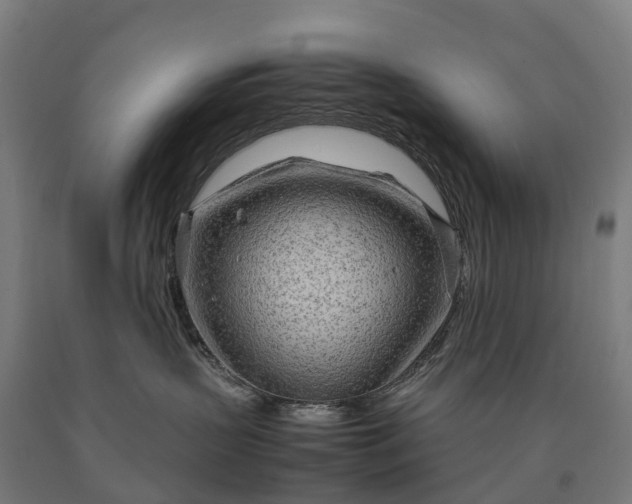 X0000090600383200707311206