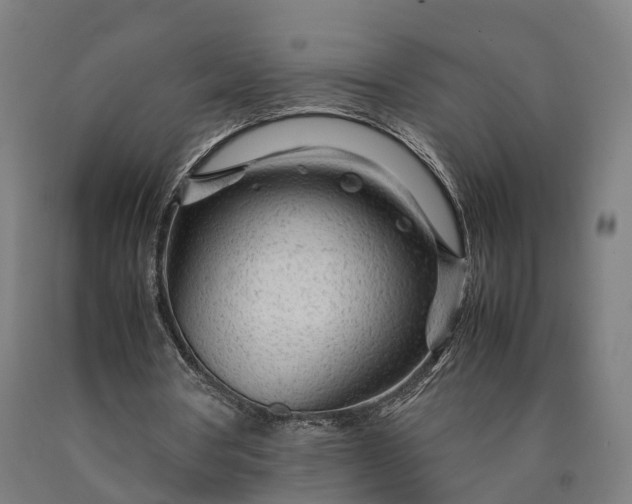 X0000090600386200707311206