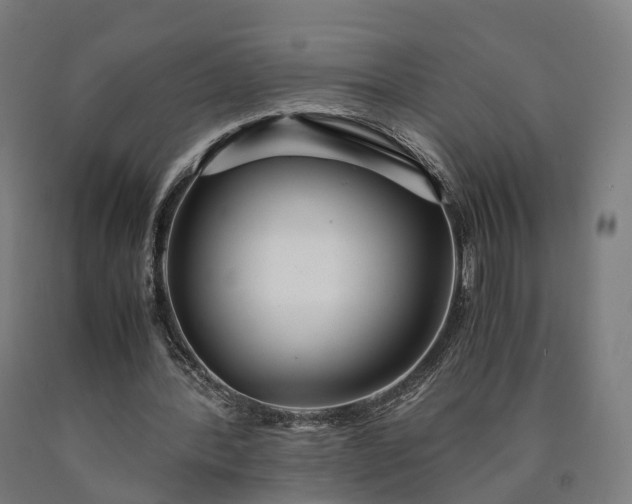 X0000090600388200707311205