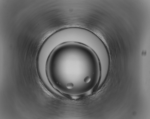 X0000090600389200707311205