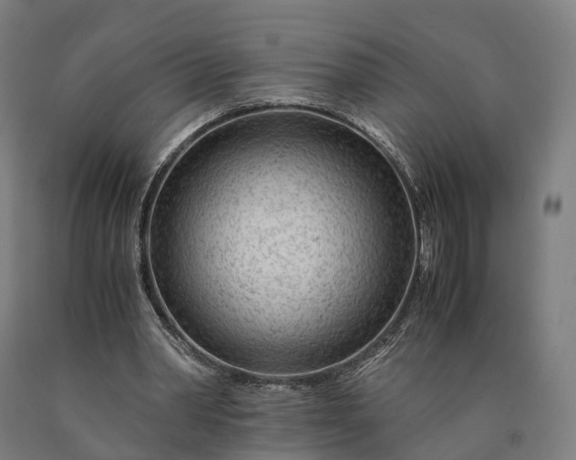 X0000090600390200707311205