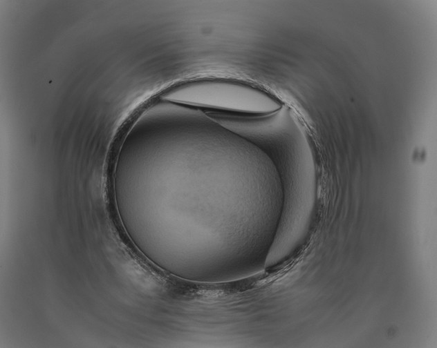 X0000090600391200707311205