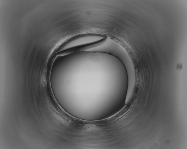 X0000090600392200707311205