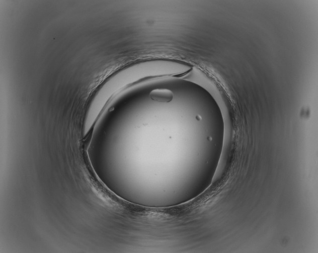 X0000090600393200707311205