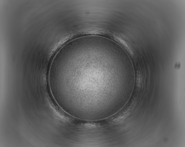 X0000090600394200707311205