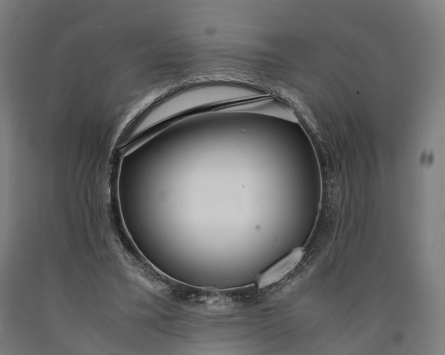 X0000090600395200707311205