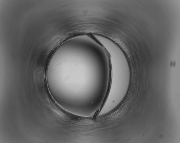 X0000090600397200707311205