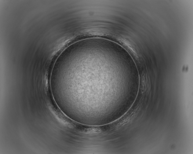 X0000090600398200707311205