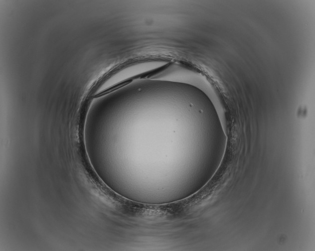 X0000090600399200707311205