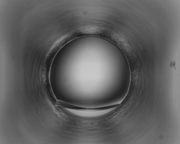 X0000090600400200707311205