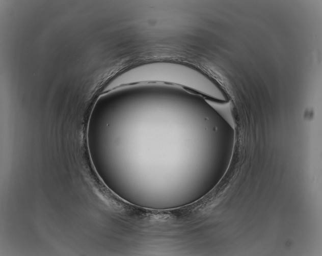 X0000090600401200707311205