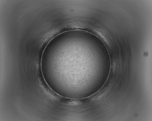 X0000090600402200707311205