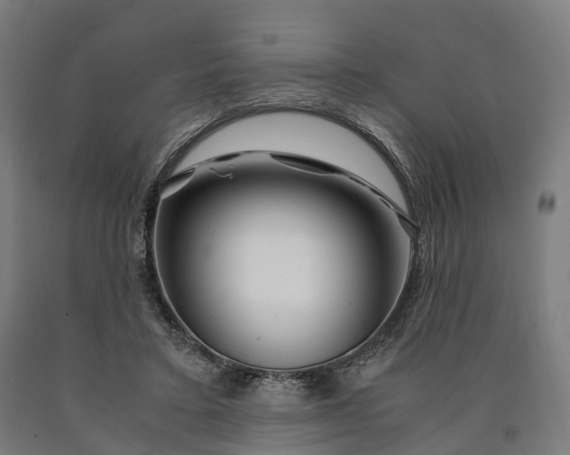 X0000090600403200707311205