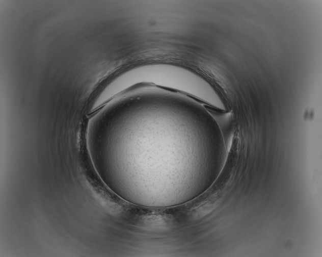 X0000090600404200707311205