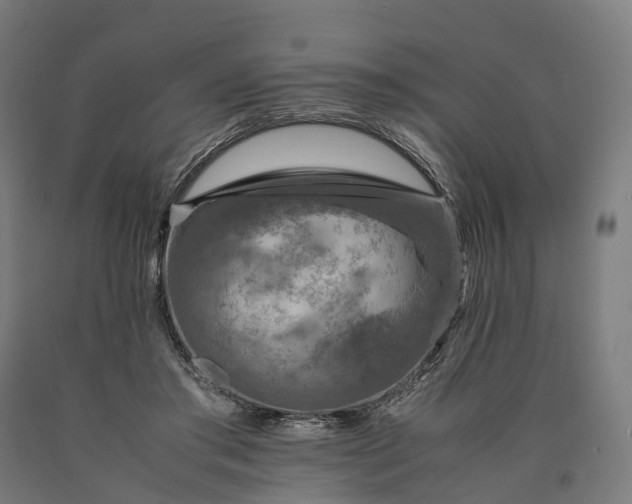 X0000090600405200707311205