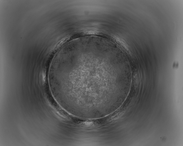 X0000090600406200707311205