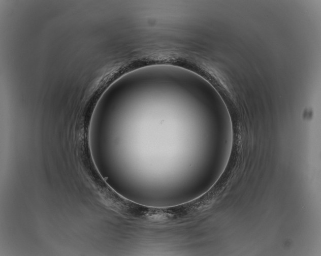 X0000090600407200707311205