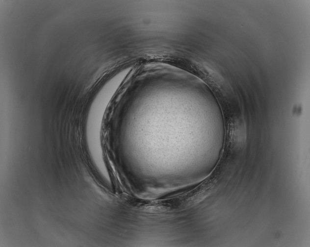 X0000090600408200707311205