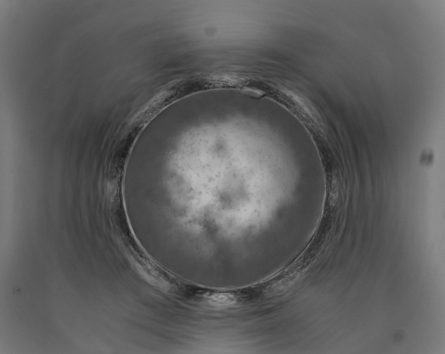 X0000090600409200707311205