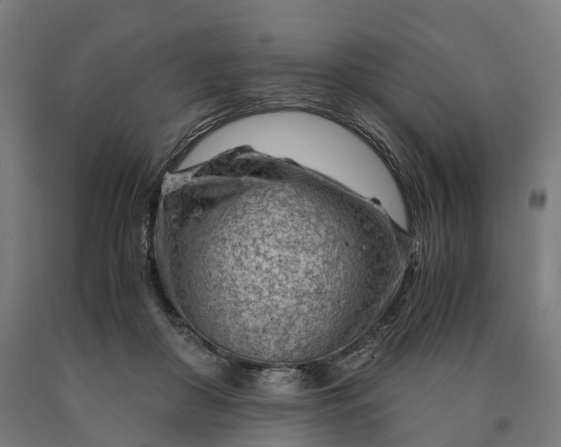 X0000090600410200707311205