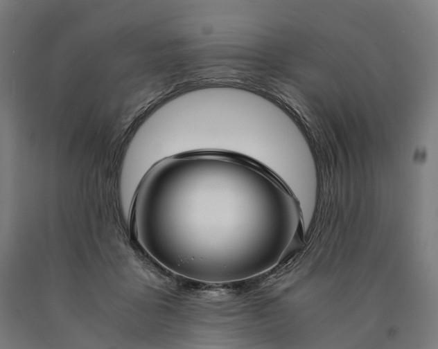 X0000090600411200707311205