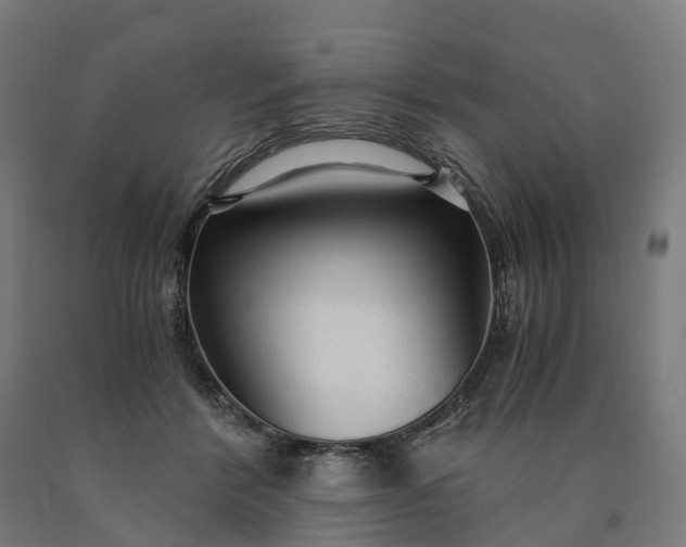 X0000090600412200707311205