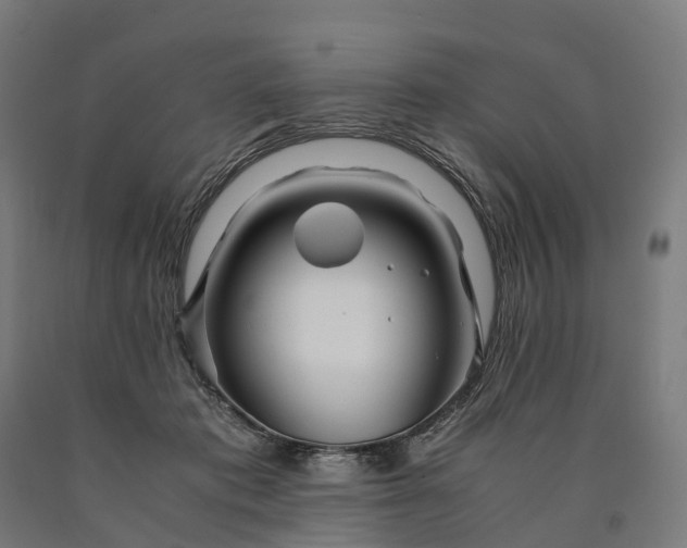 X0000090600413200707311205