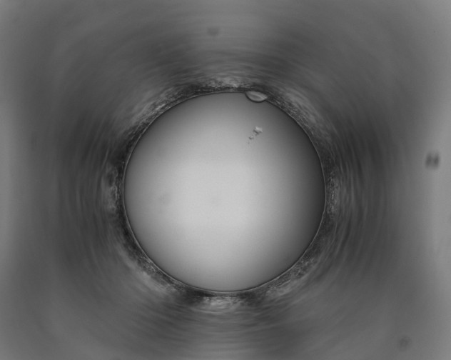 X0000090600414200707311205