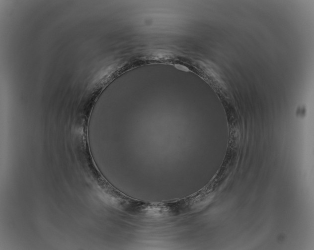 X0000090600415200707311205