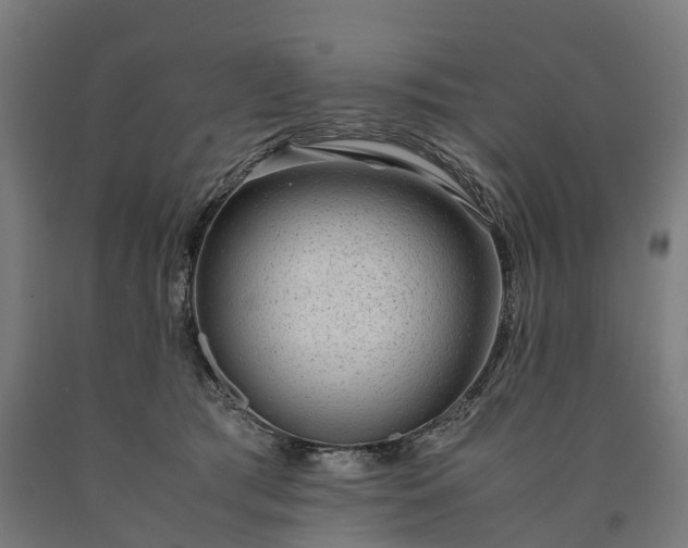 X0000090600417200707311205