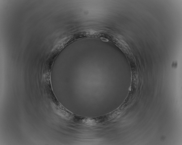 X0000090600419200707311205