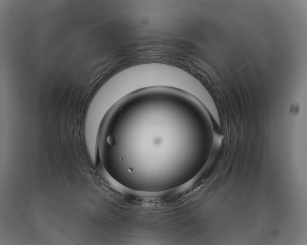 X0000090600420200707311205