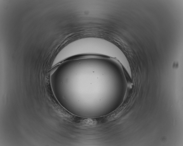 X0000090600421200707311205