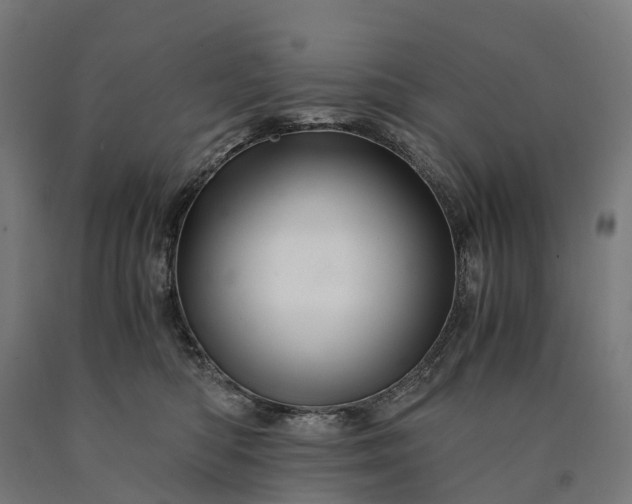 X0000090600422200707311205