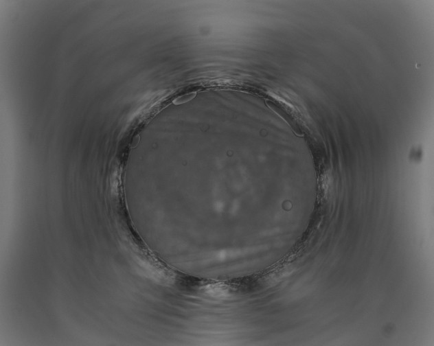 X0000090600423200707311205