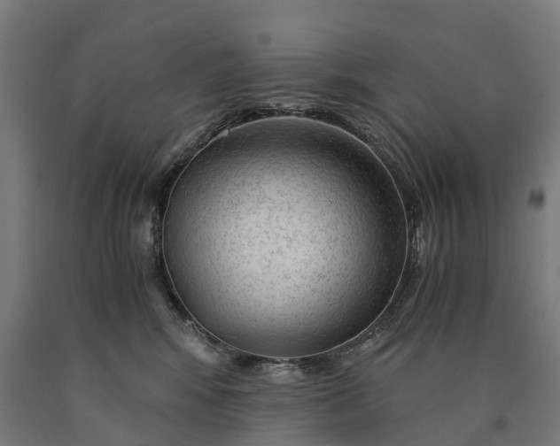 X0000090600424200707311205