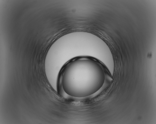 X0000090600425200707311205