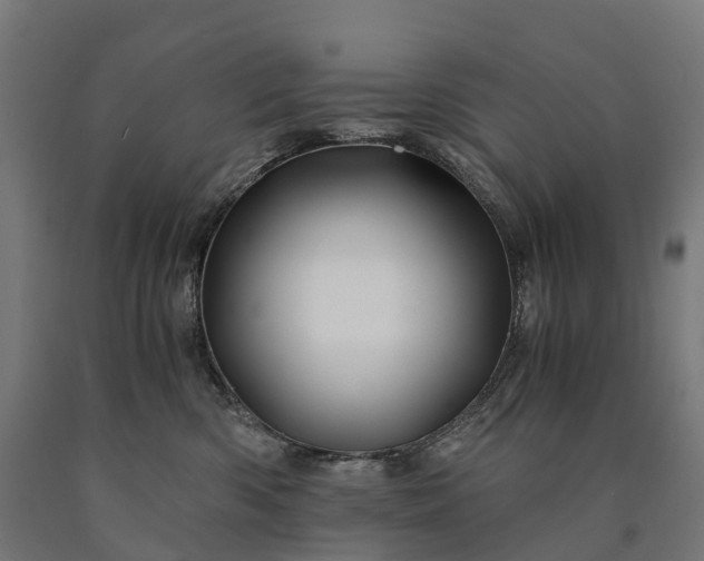 X0000090600426200707311205