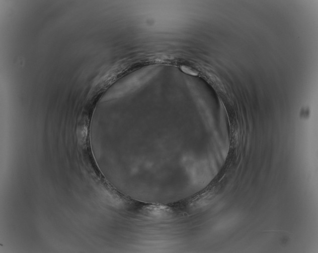 X0000090600427200707311205