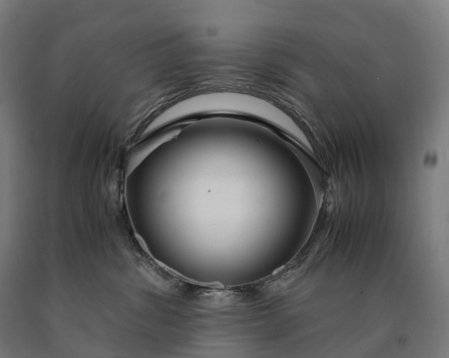 X0000090600428200707311205