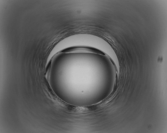 X0000090600429200707311205