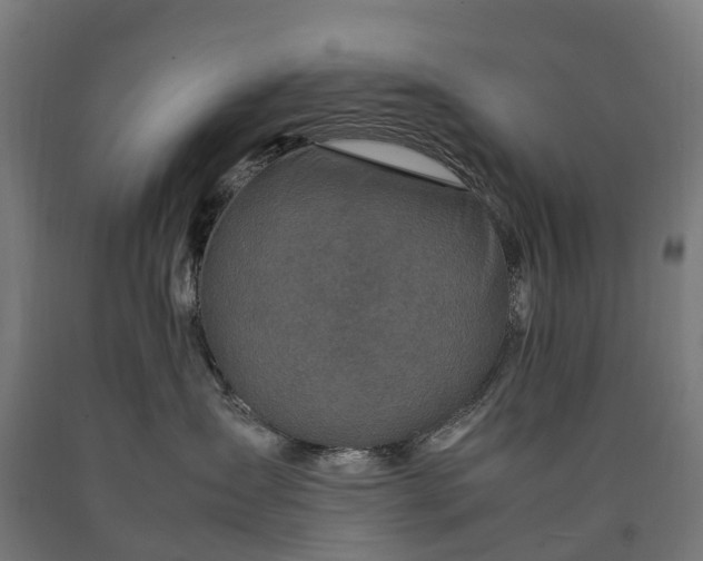 X0000090600431200707311205