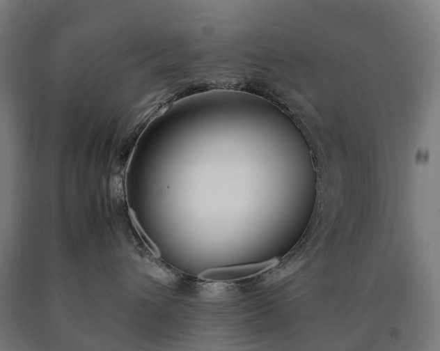 X0000090600432200707311205