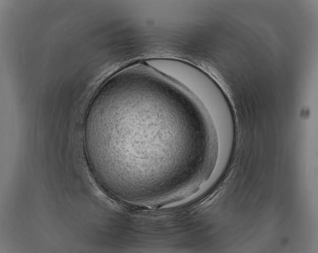 X0000090600433200707311204