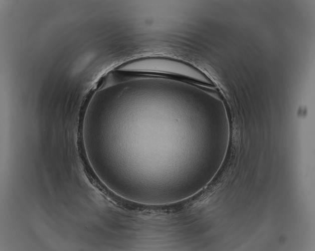 X0000090600434200707311204