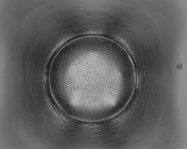 X0000090600435200707311204