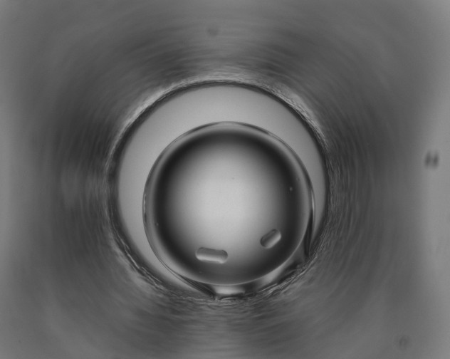 X0000090600436200707311204