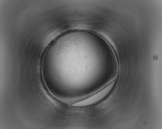 X0000090600437200707311204